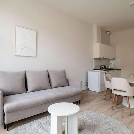 Comfortable 1-bedroom Flat In *